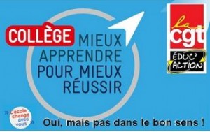 colleg